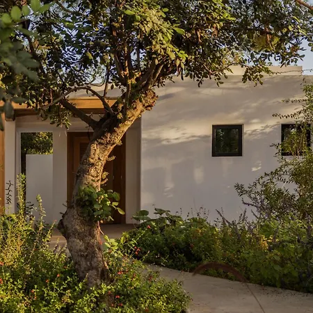 Minos Art Hotel, A Member Of Design Hotel