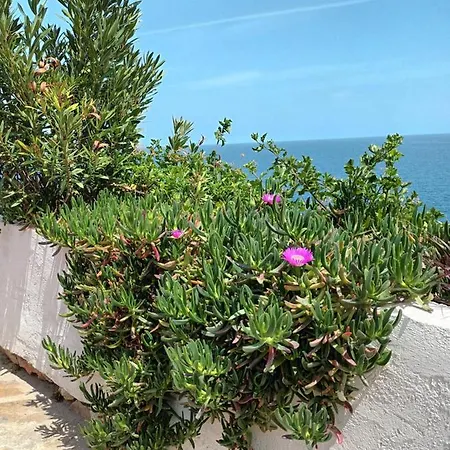 Holiday home Mirabello Sea House Agios Nikolaos (Crete)