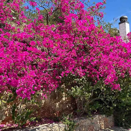 Holiday home Fissi Agritourism Near The Sea *
