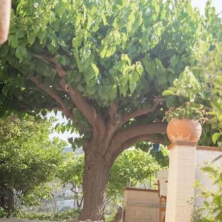 Villa Mulberry Tree *