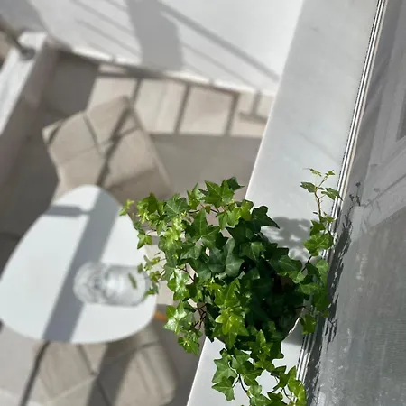 Apartment μοντέρνο Almyra