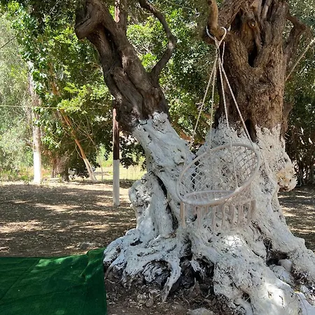 West Nest Caravan *