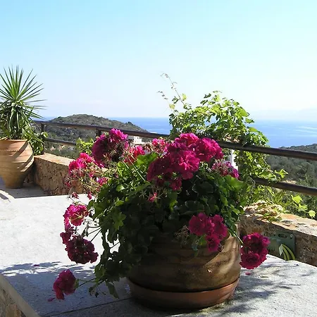 Fissi Agritourism Near The Sea Holiday home Agios Nikolaos (Crete)