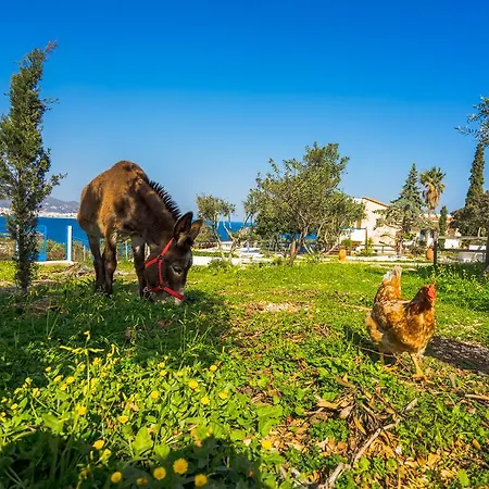 Panorama - Adults Only Aparthotel 4*
