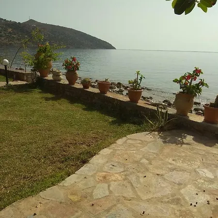 Ergina *