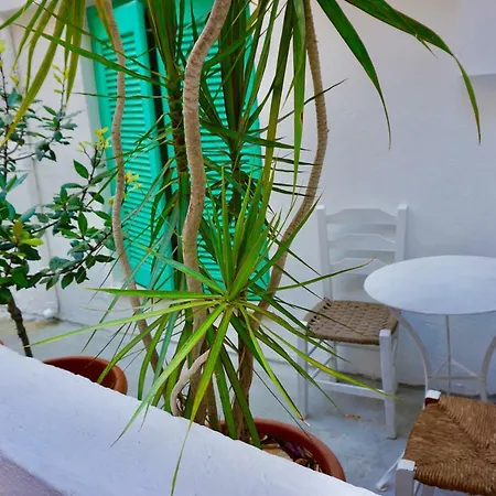 Crete Garden *