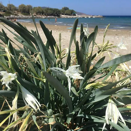 Fissi Agritourism Near The Sea Holiday home
