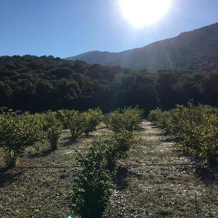 Holiday home Fissi Agritourism Near The Sea Agios Nikolaos (Crete)