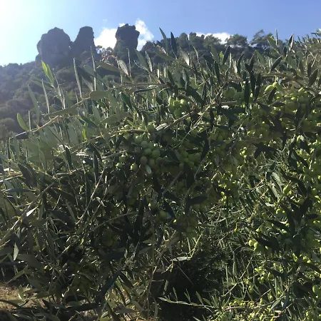Fissi Agritourism Near The Sea