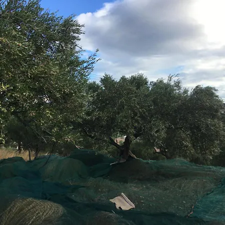 Fissi Agritourism Near The Sea