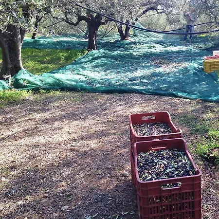 Fissi Agritourism Near The Sea