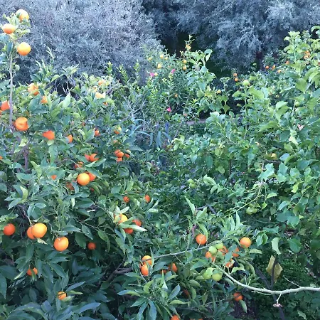 Fissi Agritourism Near The Sea Holiday home *
