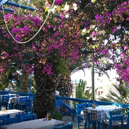 Hotel Palm Bay 3*