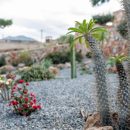 Agro Nostro-euphorbia Two Bedroom House Agios Nikolaos