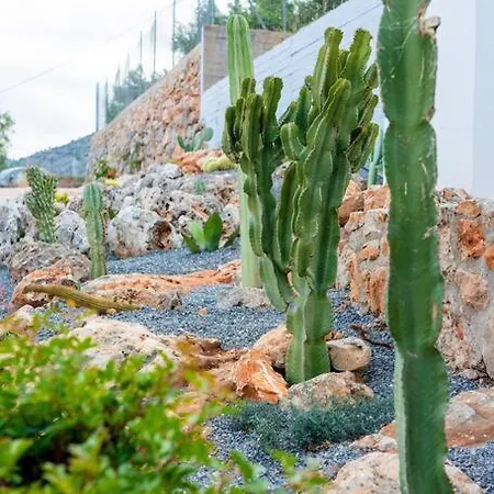 Case de vacanță Agro Nostro-euphorbia Two Bedroom House *