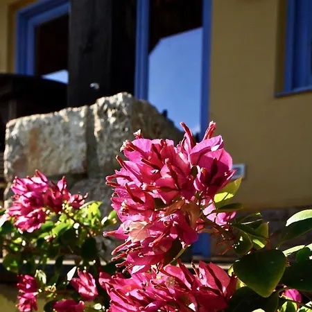 Limni Holiday home *