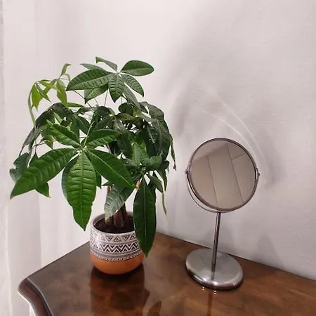Lenia's Apartamento