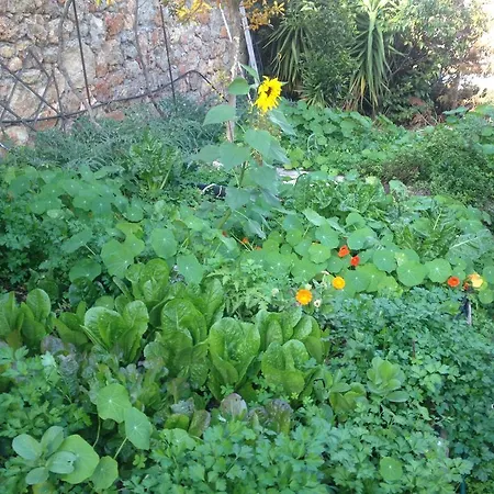 Fissi Agritourism Near The Sea * Agios Nikolaos (Crete)