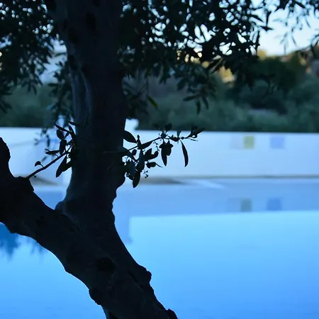Primavera Paradise Aparthotel