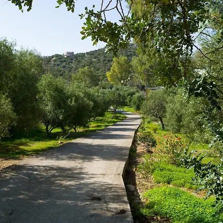 Almyros Ayos Nikolaos